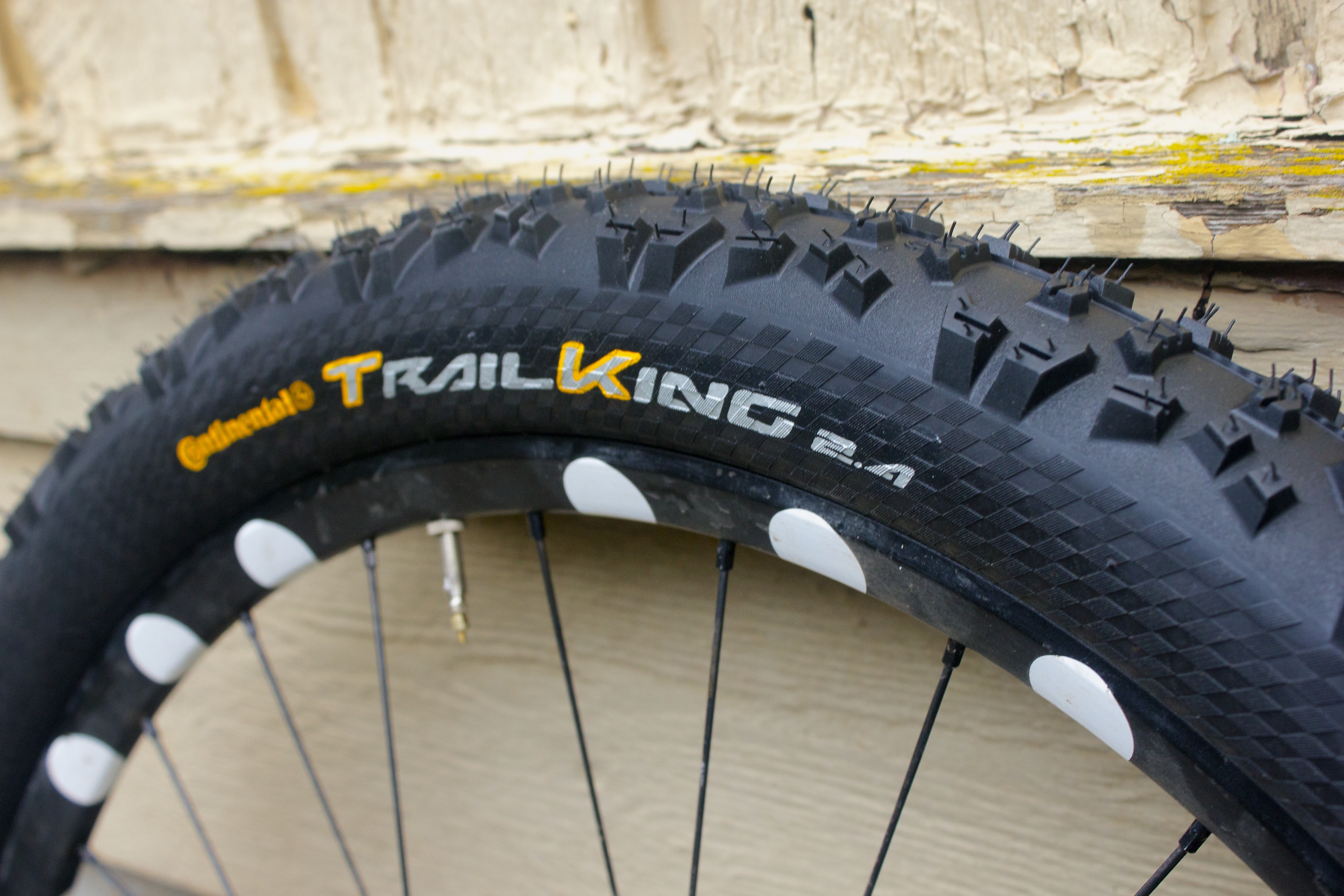 continental trail king 2.4 review